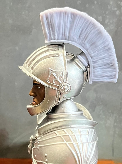 "Helmet Brush" Helmet Attachment