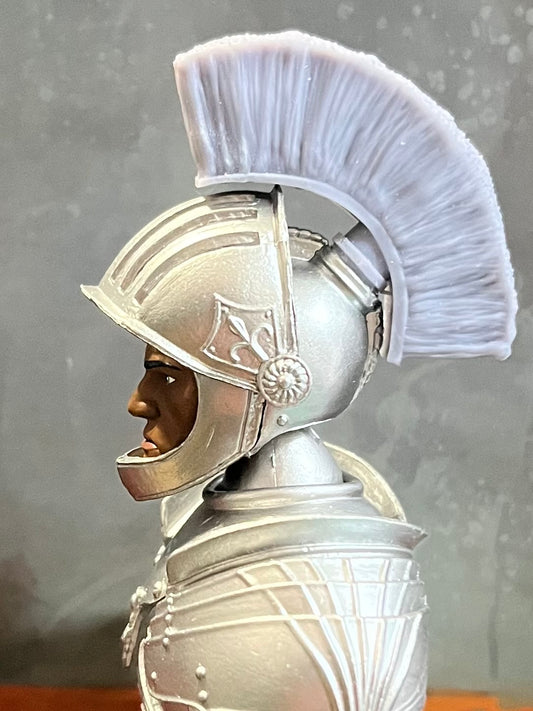 "Helmet Brush" Helmet Attachment