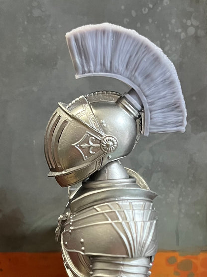 "Helmet Brush" Helmet Attachment